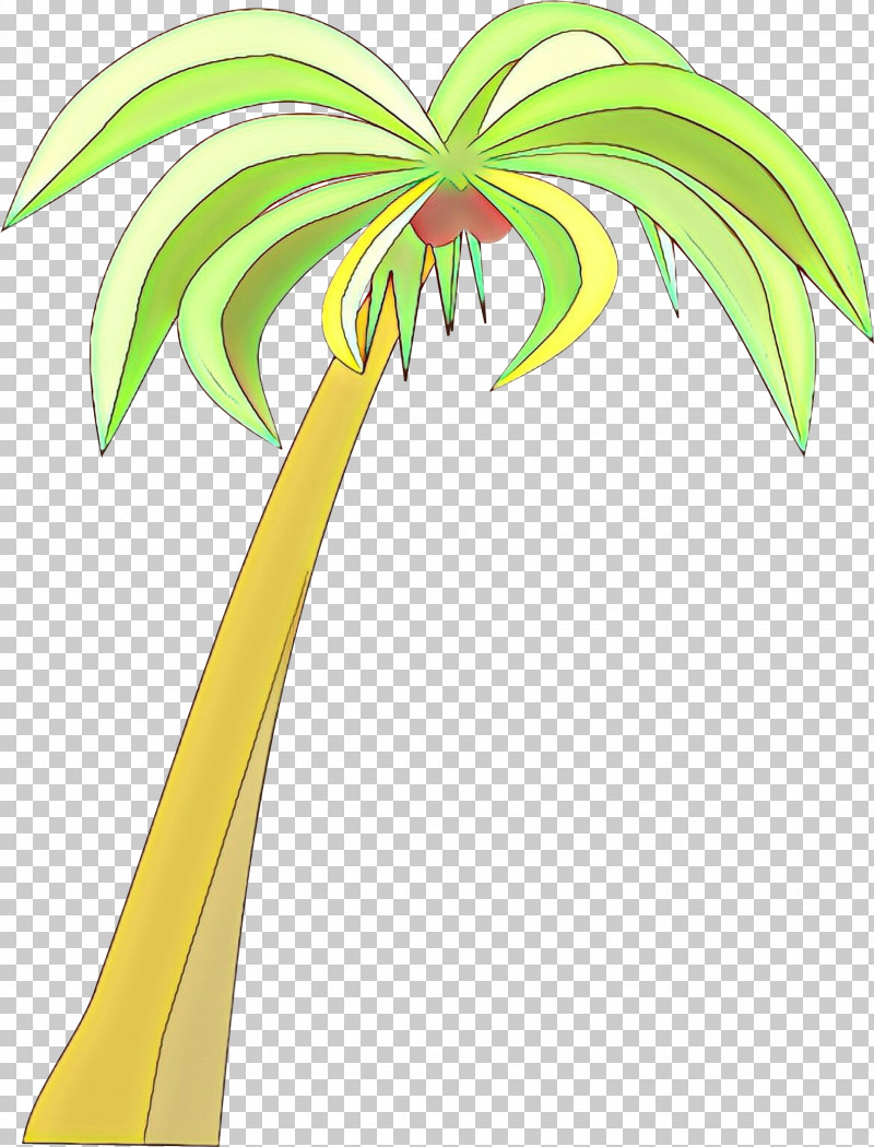 Palm Tree PNG, Clipart, Arecales, Green, Leaf, Palm Tree, Plant Free PNG Download