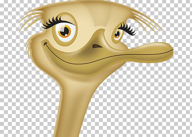 Common Ostrich Nose Cartoon PNG, Clipart, Beak, Bird, Cartoon, Character, Common Ostrich Free PNG Download
