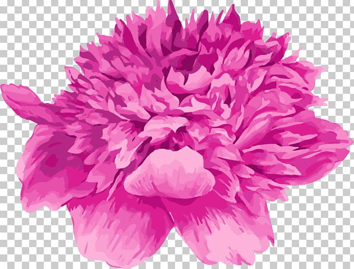 Floral Design Moutan Peony Watercolor Painting PNG, Clipart, Chrysanths, Dahlia, Encapsulated Postscript, Floristry, Flower Free PNG Download
