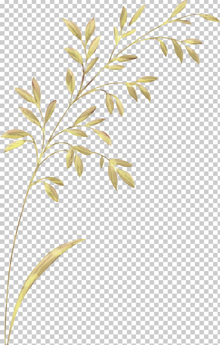 Flower Knitting Crochet Plant Stem Leaf PNG, Clipart, Arid, Branch, Commodity, Crochet, Element Free PNG Download
