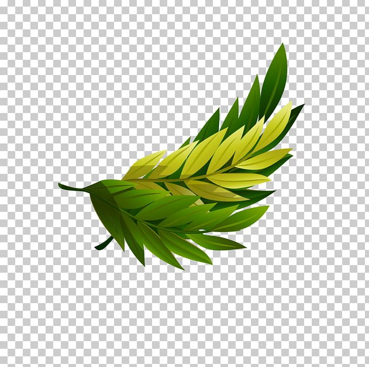 Leaf Green Gratis Euclidean PNG, Clipart, Background Green, Computer Wallpaper, Data Compression, Download, Euclidean Vector Free PNG Download