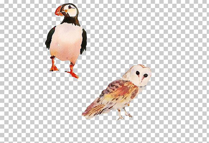 Bird Watercolor Painting Illustrator Illustration PNG, Clipart, Animal, Animals, Beak, Bird, Bird Cage Free PNG Download