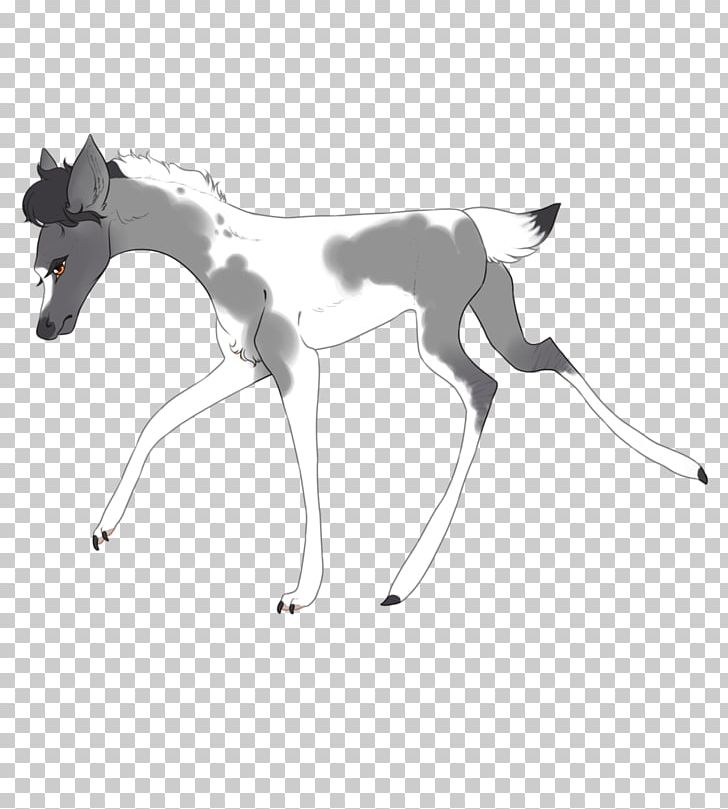 Foal Halter Colt Pony Mustang PNG, Clipart, Black And White, Bridle, Carnivoran, Cattle, Colt Free PNG Download