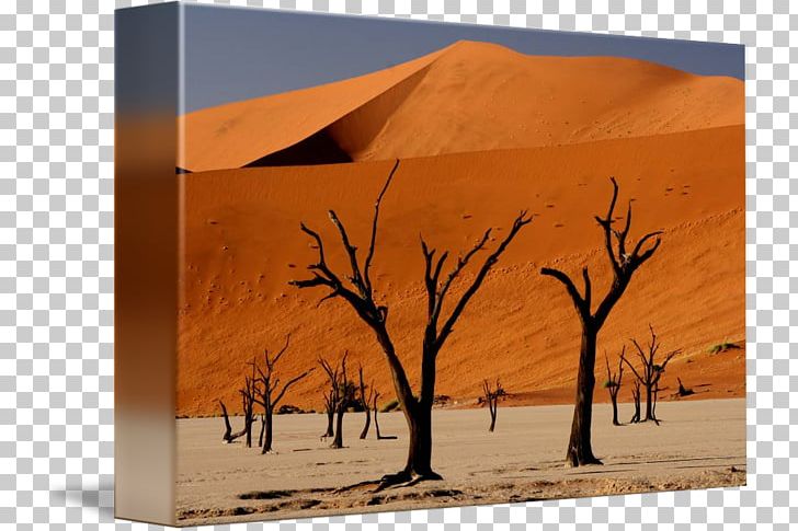 Singing Sand Gallery Wrap La Croix Sparkling Water Canvas Deadvlei PNG, Clipart, Aeolian Landform, Apocalypse Now, Art, Canvas, Desert Free PNG Download