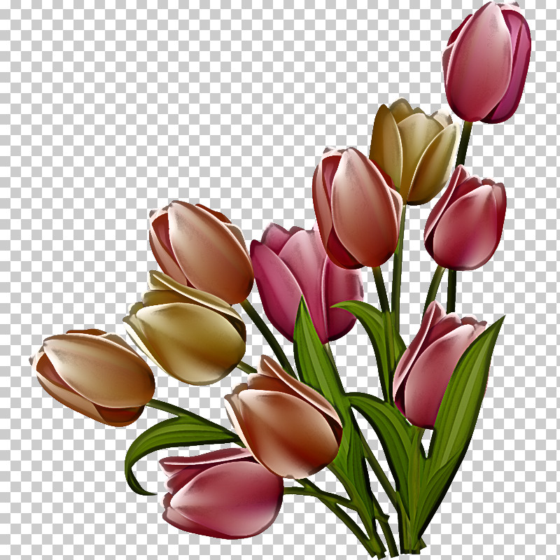 Artificial Flower PNG, Clipart, Artificial Flower, Bouquet, Bud, Crocus, Cut Flowers Free PNG Download