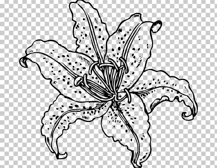 Tiger Lily Coloring Book Drawing PNG, Clipart, Arumlily, Black And White, Child, Color, Cut Flowers Free PNG Download