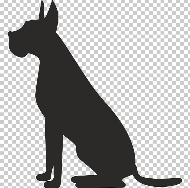 Pet Sitting Dog Grooming Cat PNG, Clipart, Animal Rescue Group, Animals, Black, Carnivoran, Cat Like Mammal Free PNG Download