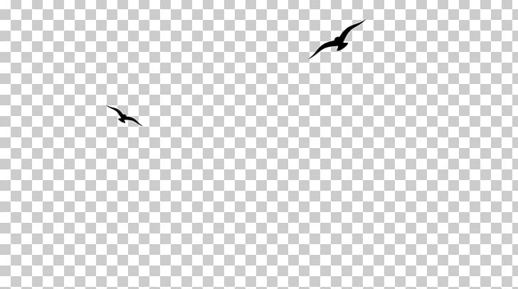 Beak Bird Migration Crane Font PNG, Clipart, Animal Migration, Animals, Beak, Bird, Bird Migration Free PNG Download