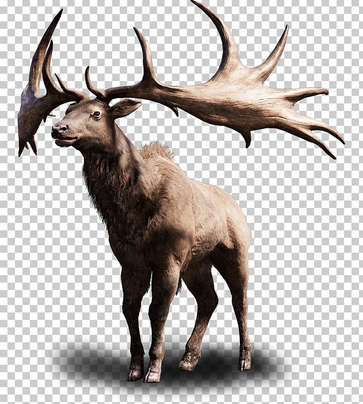 Far Cry Primal Irish Elk Far Cry 4 PlayStation 4 PNG, Clipart, Animal Hair, Animals, Antler, Cattle Like Mammal, Deer Free PNG Download