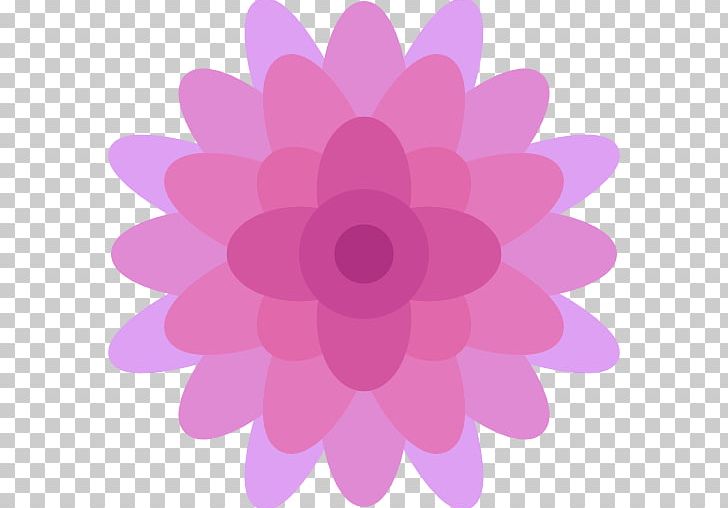 Flower Computer Icons Chrysanthemum PNG, Clipart, Blossom, Chrysanthemum, Computer Font, Computer Icons, Dahlia Free PNG Download