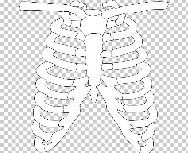 Spare Ribs Rib Cage Barbecue PNG, Clipart, Angle, Arm, Barbecue, Black And White, Bone Free PNG Download