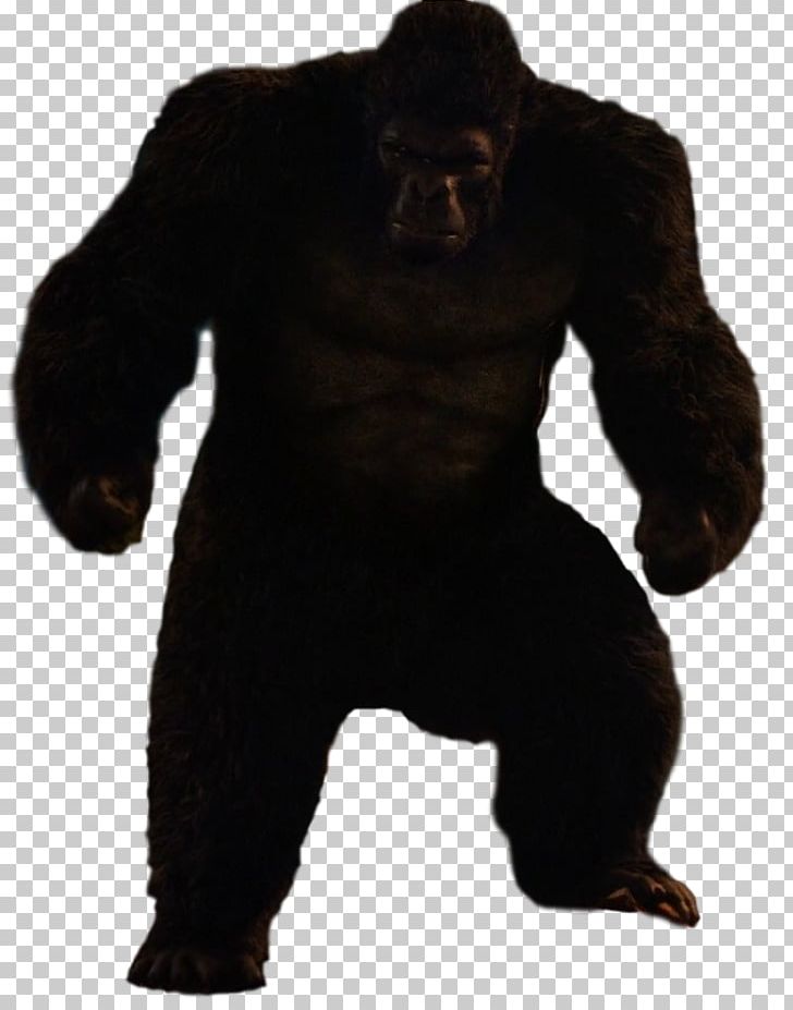 Gorilla Grodd Trickster Ape King Kong PNG, Clipart, Animals, Ape, Arrowverse, Art, Bear Free PNG Download