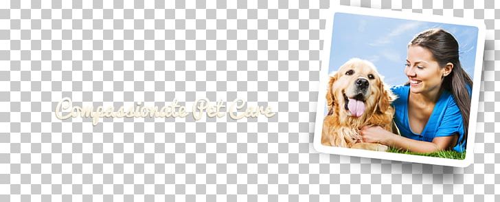 Central Florida Animal Hospital Dog Puppy Veterinarian Clinique Vétérinaire PNG, Clipart, Advertising, Animal, Animal Hospital, Animals, Brand Free PNG Download