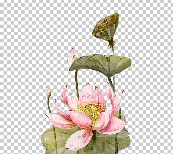 Nelumbo Nucifera Ink Wash Painting PNG, Clipart, Chinese New Year, Chinese Painting, Chinese Style, Chinoiserie, Flower Free PNG Download