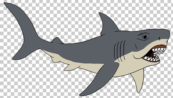 Tiger Shark Requiem Sharks PNG, Clipart, Animals, Animated Cartoon, Carcharhiniformes, Cartilaginous Fish, Fauna Free PNG Download