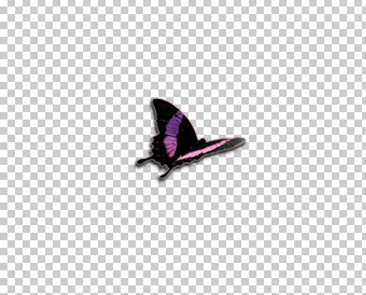Butterfly Computer File PNG, Clipart, Adobe Illustrator, Butterfly, Butterfly Vector, Encapsulated Postscript, Google Images Free PNG Download