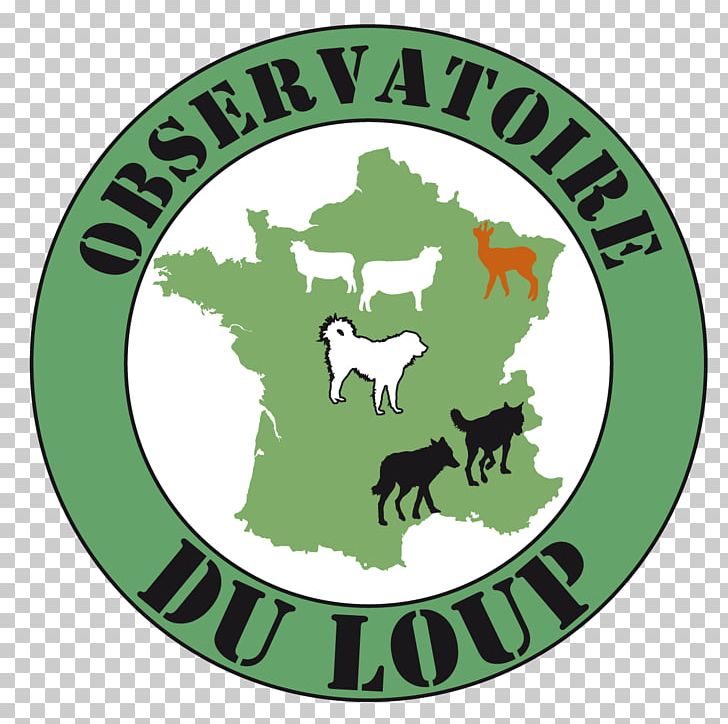 Loup Gris En France Dog Pack Canidae PNG, Clipart, 2017, 2018, Adultesa, Canidae, Cattle Like Mammal Free PNG Download