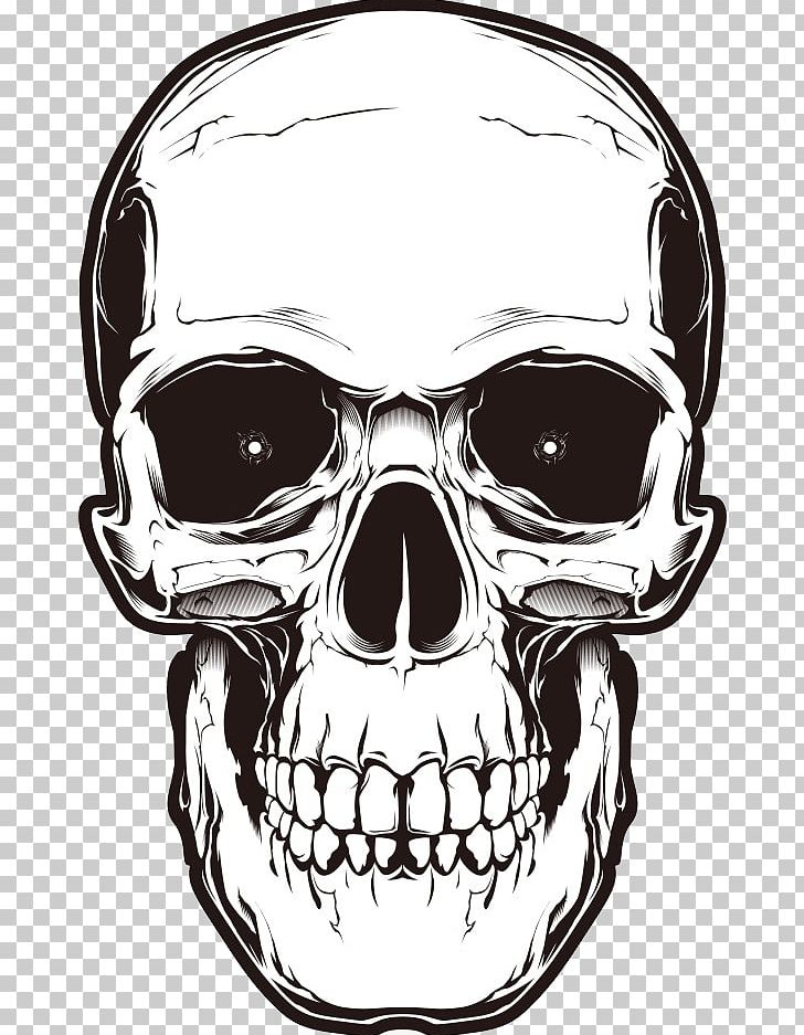 Skull PNG, Clipart, Skull Free PNG Download