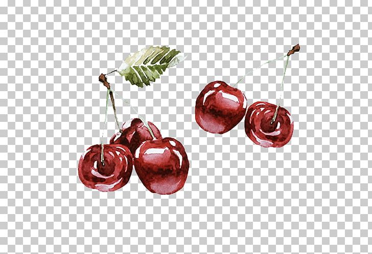 Cherry Drawing PNG, Clipart, Cherry, Cherry Blossom, Cherry Blossoms, Download, Drawing Free PNG Download