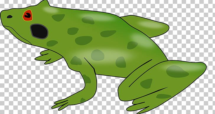 Frog Desktop Computer Icons PNG, Clipart, American Green Tree Frog, Amfibi, Amphibian, Animal, Animal Figure Free PNG Download