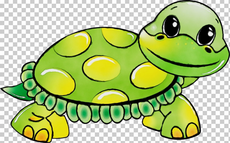 Tortoise Sea Turtles Turtles Reptiles Green Sea Turtle PNG, Clipart, Asian Forest Tortoise, Box Turtles, Common Snapping Turtle, Desert Tortoise, Giant Tortoise Free PNG Download
