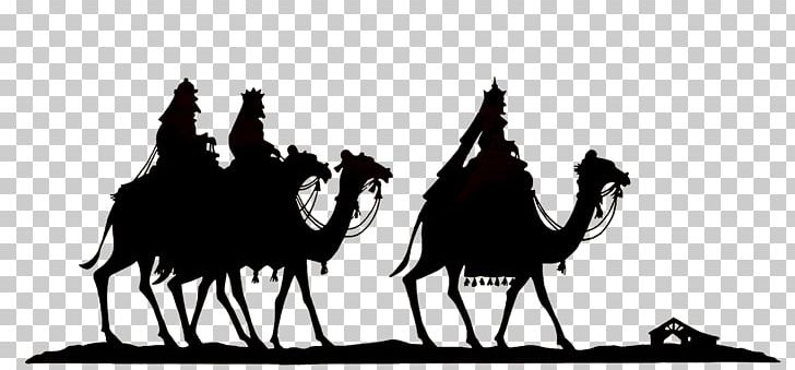 Biblical Magi Wise Old Man PNG, Clipart, 3 Wise Men, Arabian Camel, Biblical Magi, Black And White, Camel Free PNG Download