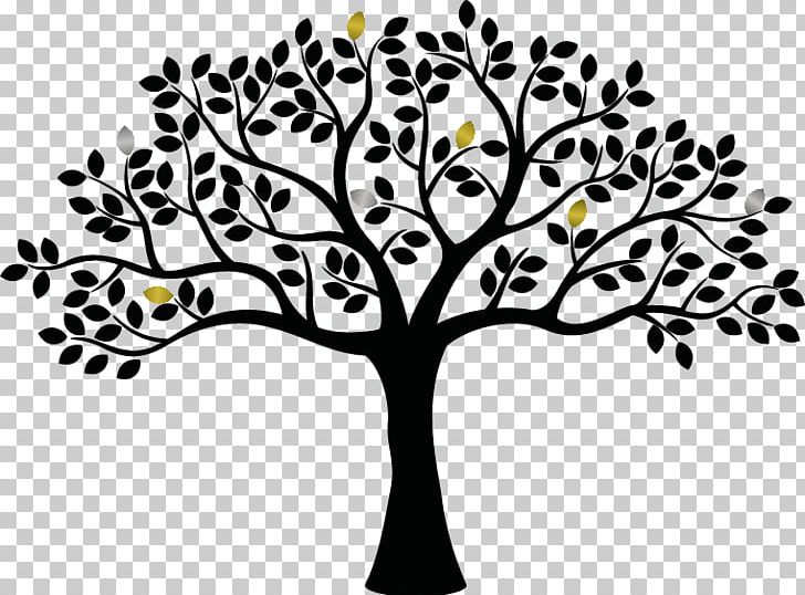 Family Tree PNG, Clipart, Black And White, Branch, Drawing, Family, Family Tree Free PNG Download