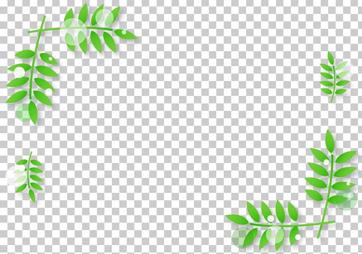Spring Leaf Frame. PNG, Clipart, Book Illustration, Branch, Color, Flora, Flower Free PNG Download