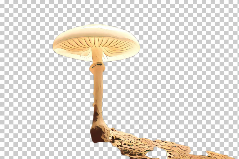Mushroom Lamp Light Fixture Ceiling Agaricaceae PNG, Clipart, Agaricaceae, Ceiling, Lamp, Light Fixture, Lighting Accessory Free PNG Download