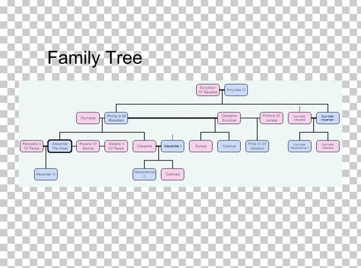 aphrodite family tree