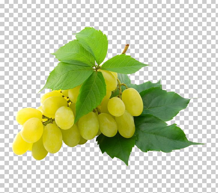Kyoho Grape Leaves PNG, Clipart, Common Grape Vine, Food, Fruit, Fruit Nut, Grape Free PNG Download
