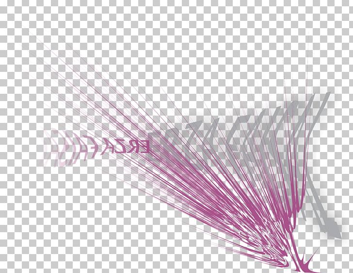 Product Design Line PNG, Clipart, Line, Others, Pink, Purple, Violet Free PNG Download