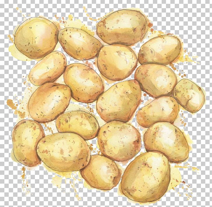 Watercolour Flowers Baked Potato Watercolor Painting Drawing PNG, Clipart, Baked Potato, Cartoon, Drawing, Food, Fruit Free PNG Download