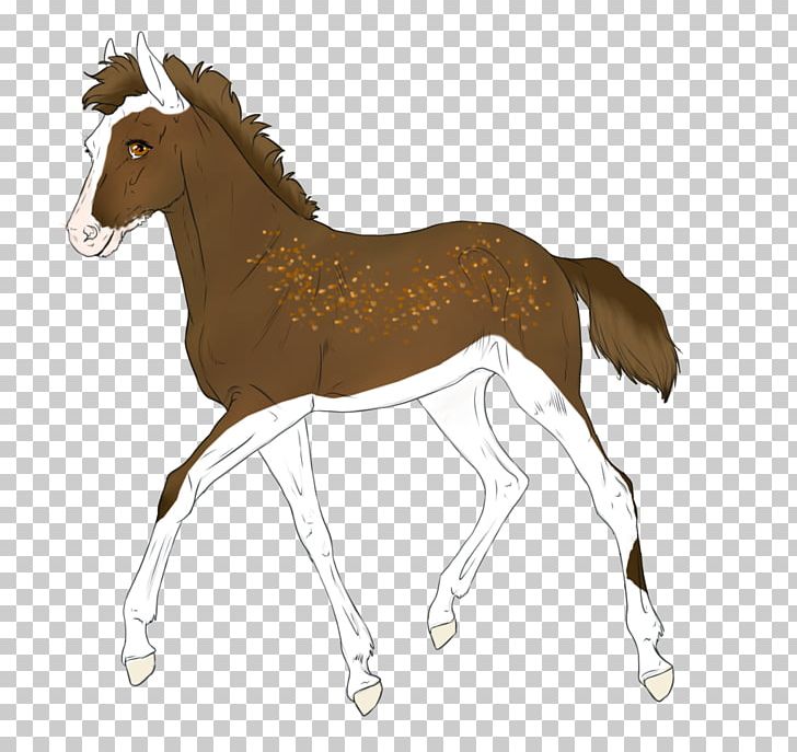 Mule Foal Mustang Stallion Colt PNG, Clipart, Animal Figure, Bridle, Colt, Foal, Halter Free PNG Download