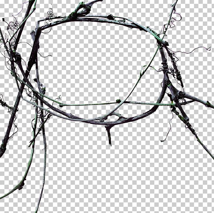 Tree Google S PNG, Clipart, Area, Black And White, Branch, Christmas Tree, Circle Free PNG Download