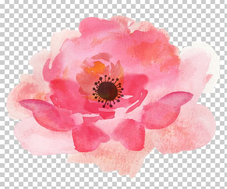 Watercolour Flowers Watercolor Painting Floral Design PNG, Clipart, Art, Clip Art, Drawing, Floral Design, Flower Free PNG Download