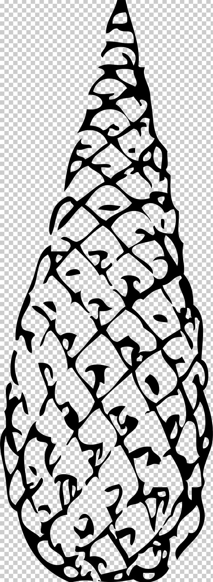 Conifer Cone Conifers Drawing PNG, Clipart, Black And White, Christmas Decoration, Christmas Tree, Color, Cone Free PNG Download