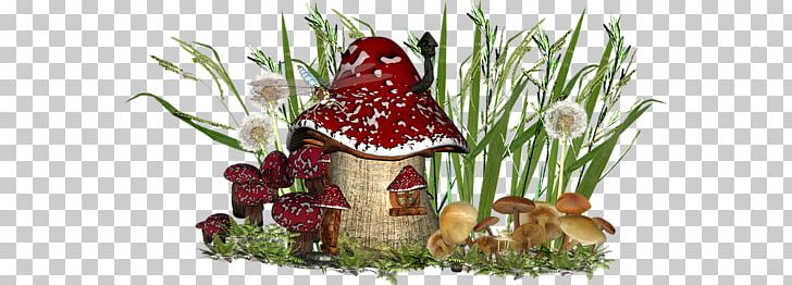 Fungus PNG, Clipart, Blog, Edible Mushroom, Floral Design, Floristry, Flower Free PNG Download