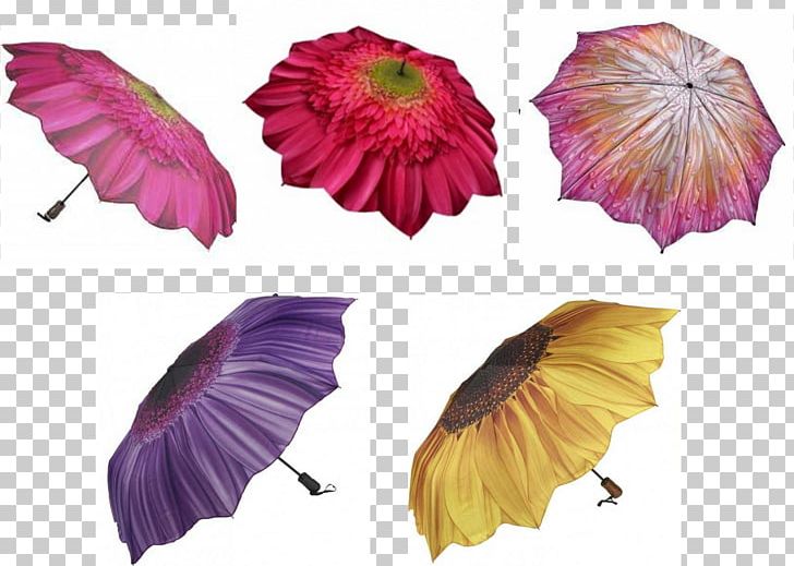 Petal Umbrella Amazon.com Purple Flowering Plant PNG, Clipart, Amazoncom, Bright Side, Flower, Flowering Plant, Magenta Free PNG Download