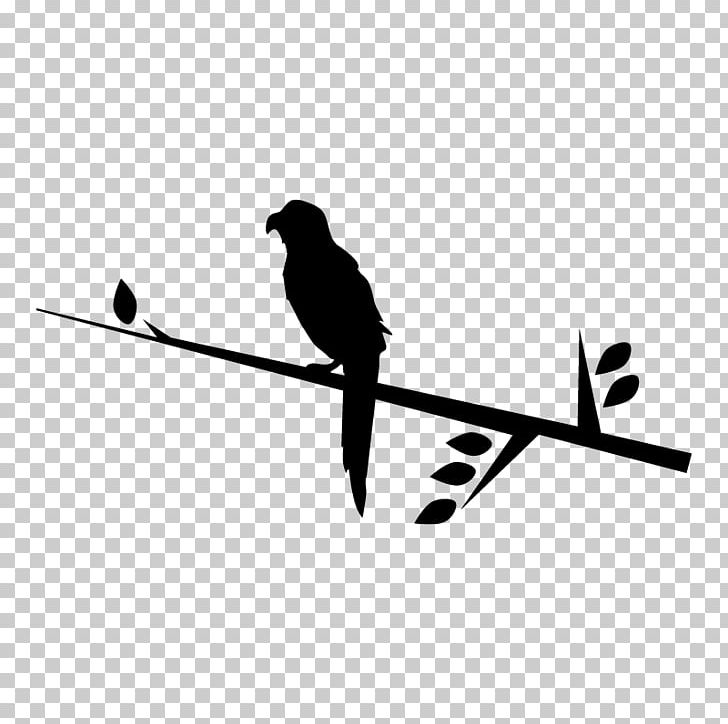 Beak Bird Silhouette Computer Font Font PNG, Clipart, Animals, Beak, Bird, Black And White, Branch Free PNG Download