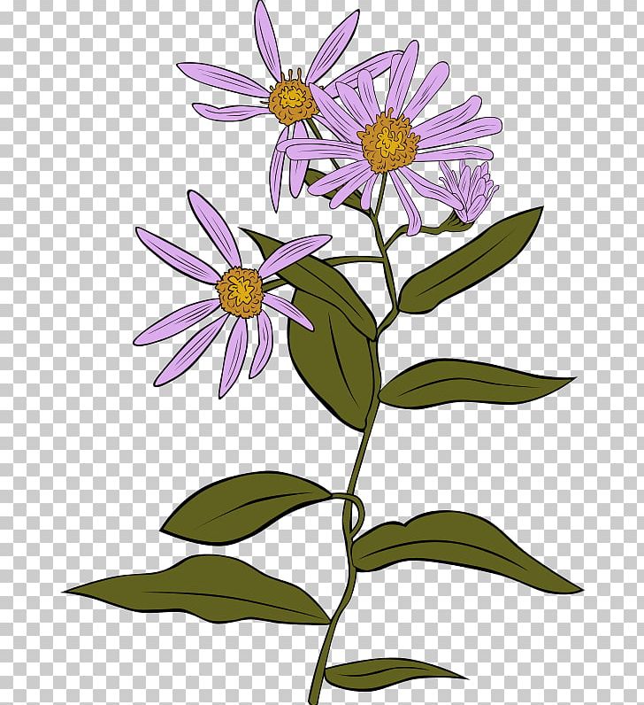 Drawing PNG, Clipart, Art, Artwork, Aster, Big Small, Blog Free PNG Download