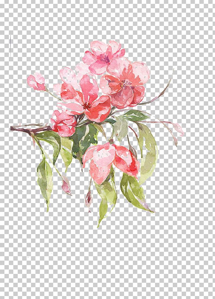 Floral Design Malus Halliana Illustration PNG, Clipart, Artificial Flower, Blossom, Branch, Cut Flowers, Floristry Free PNG Download