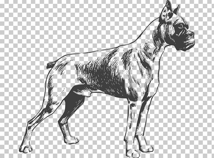 Boxer Bulldog Standard Schnauzer Puppy Purebred Dog PNG, Clipart, Black And White, Boxer, Boxer Puppy Cliparts, Breed, Bulldog Free PNG Download