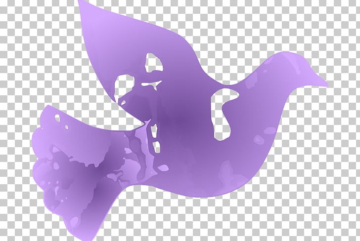 Columbidae PNG, Clipart, Columbidae, Dove, Dove Images Pictures, Free Content, Lilac Free PNG Download