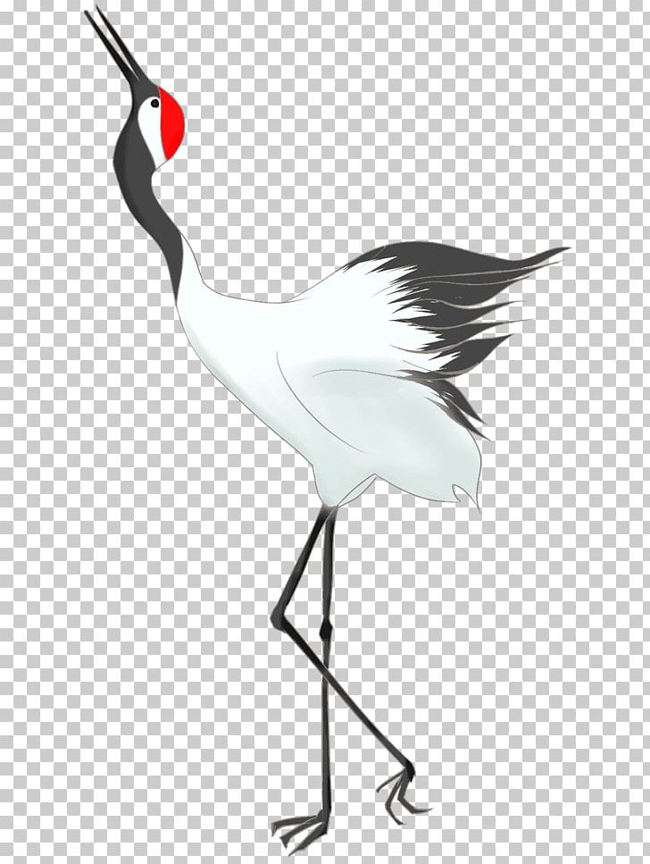 Crane Pelican Bird Beak White Stork PNG, Clipart, Beak, Bird, Black And White, Common Ostrich, Crane Free PNG Download