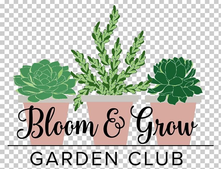 Houseplant Podcast Leaf Radio Garden PNG, Clipart, Episode, Fiddleleaf Fig, Flower, Flowering Plant, Flowerpot Free PNG Download