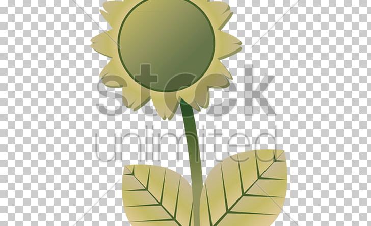 Product Design Graphics Illustration Sunflower M PNG, Clipart, Cartoon Sunflower, Flower, Flowering Plant, Leaf, Plant Free PNG Download