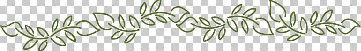 Twig Grasses Plant Stem Herb Font PNG, Clipart, Branch, Closeup, Grass, Grasses, Grass Family Free PNG Download