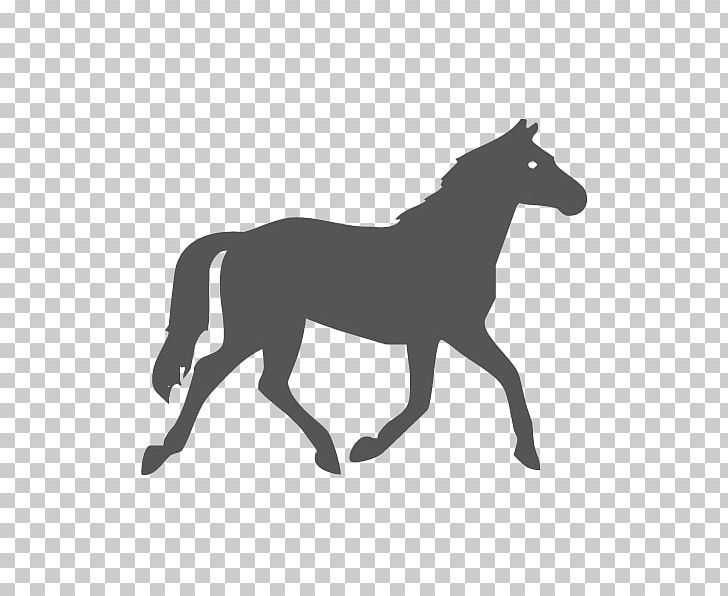 Horse Pony Equestrian PNG, Clipart, Animals, Black, Black And White, Bridle, Bucking Free PNG Download