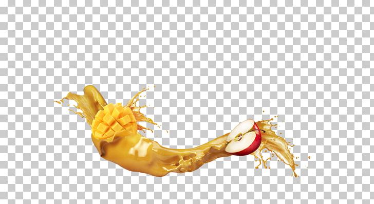 Organism PNG, Clipart, Organism, Others Free PNG Download